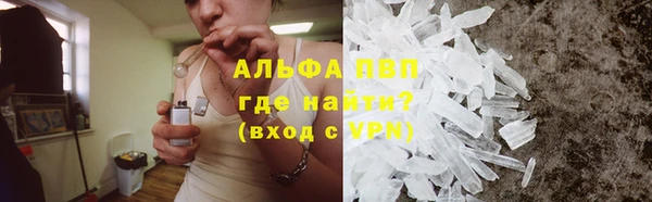гидра Белокуриха