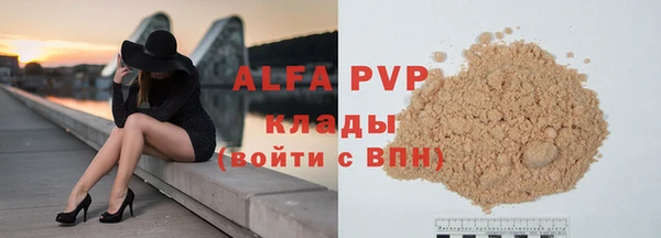 ECSTASY Богородск