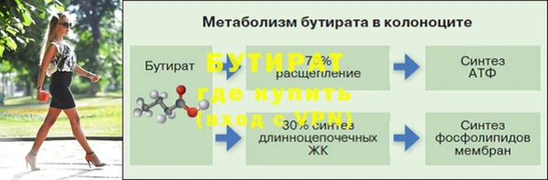 гидра Белокуриха