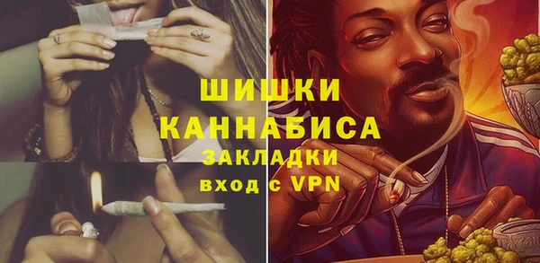 гидра Белокуриха