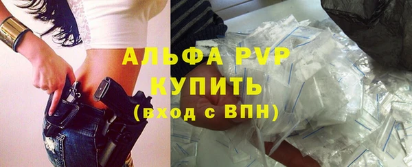 гидра Белокуриха