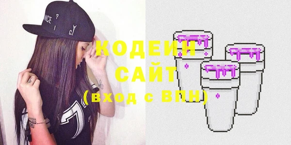 ГАЛЛЮЦИНОГЕННЫЕ ГРИБЫ Богданович