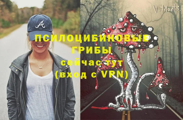гидра Белокуриха